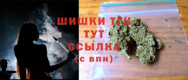 mix Богородицк